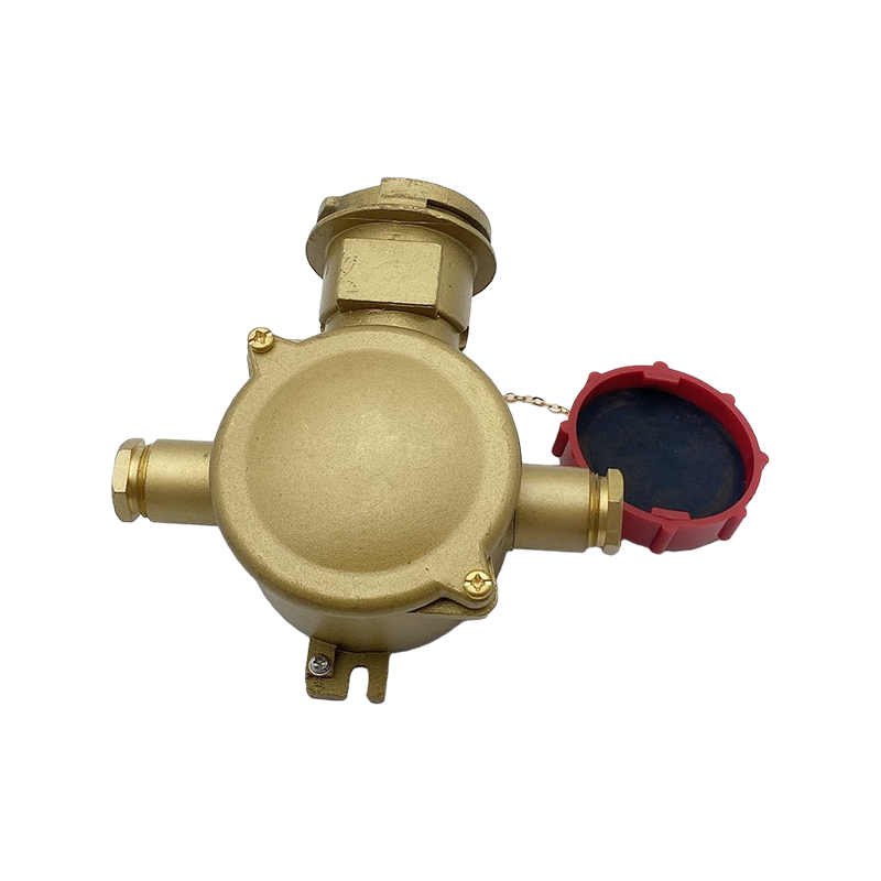 مقبس كهربائي نحاسي مع مفتاح تعشيق- CZS3-2 1I4