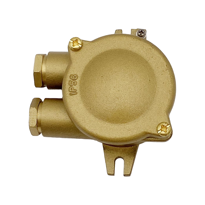 أقطاب بلاستيكية ضد الغبار الضميمة الكهربائية الأسلاك- JXH202